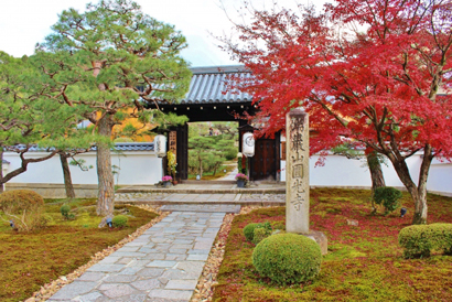 圓光寺